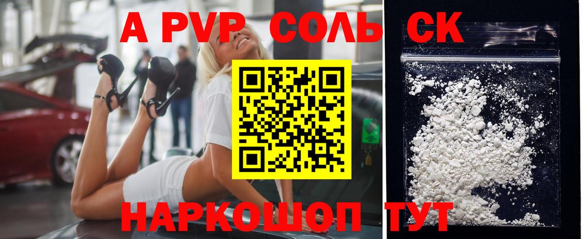 A PVP СК Новозыбков