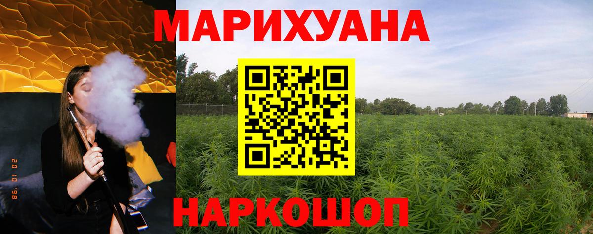 Шишки марихуана THC 21% Новозыбков